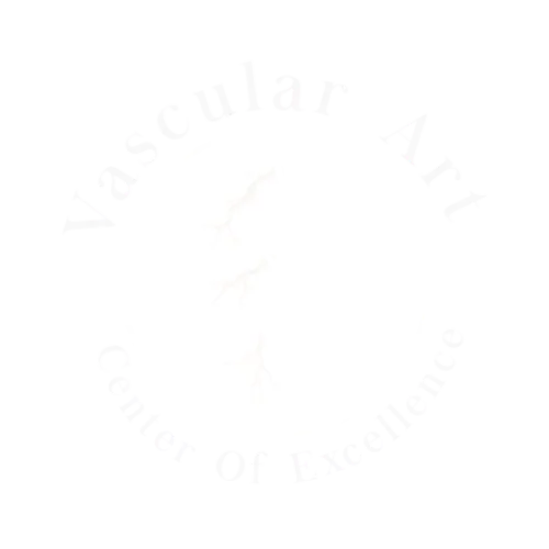 Vascular Art - Center of Excellence