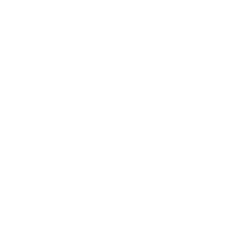 Customer Logo