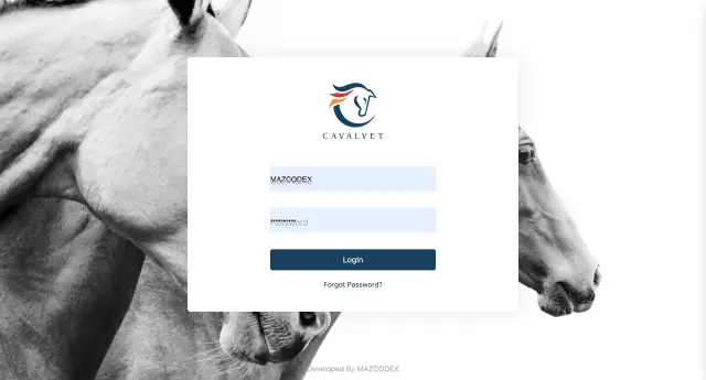 Cavalvet - System screenshot 2 | MAZCODEX portfolio