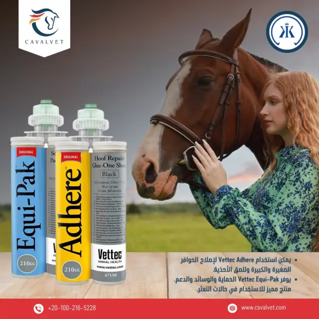 Cavalvet - Social media design 6 | MAZCODEX portfolio