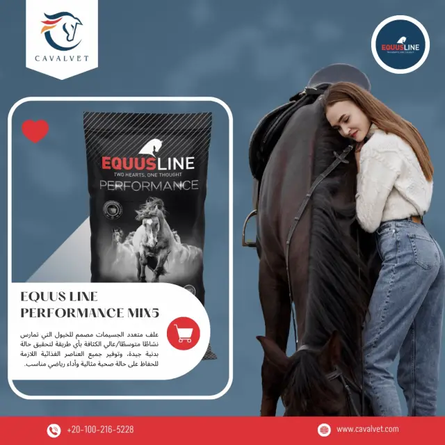 Cavalvet - Social media design 9 | MAZCODEX portfolio