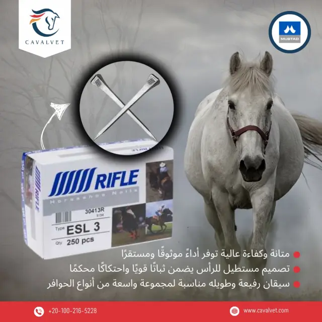 Cavalvet - Social media design 17 | MAZCODEX portfolio
